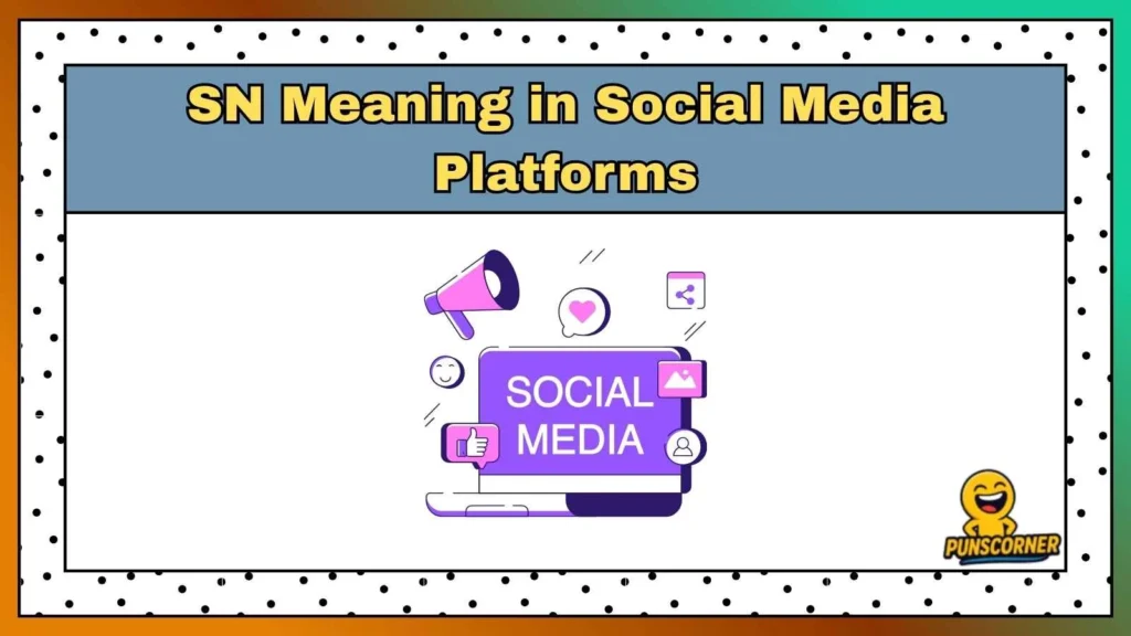 SN Meaning in Social Media Platforms
