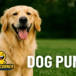 dog puns