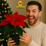 poinsettia puns