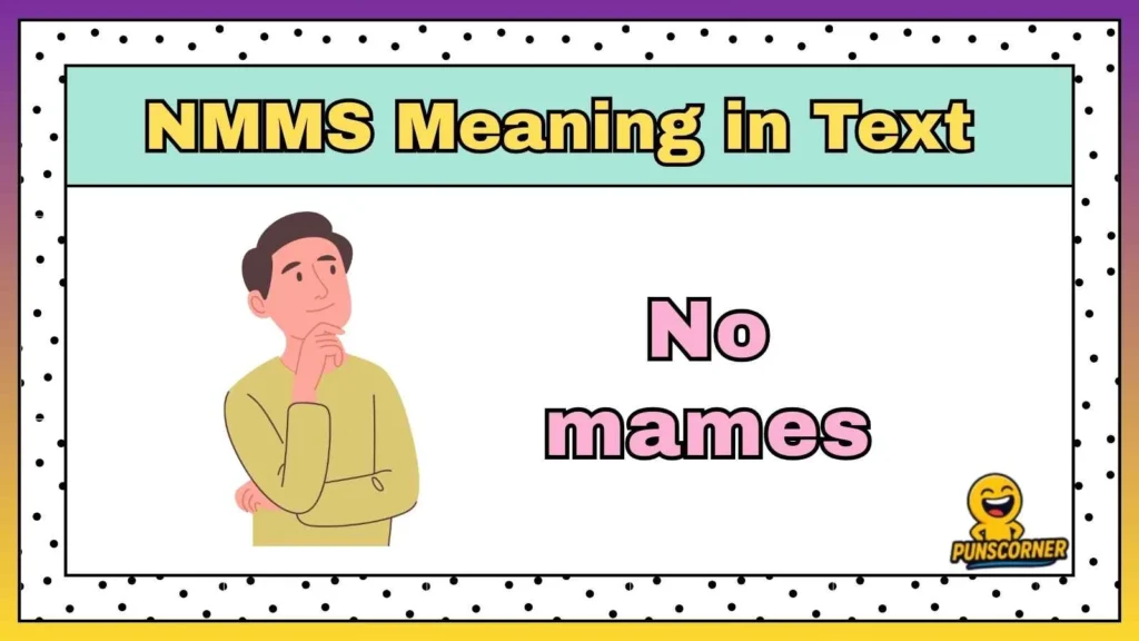 NMMS Meaning in Text