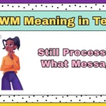 SPWM Meaning in Text