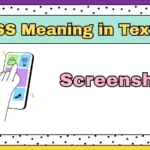 SS Meaning in Text