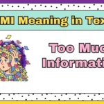 TMI Meaning in Text